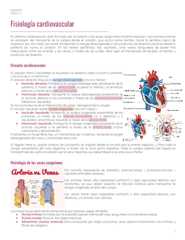 PAR1Tema-7.1-Fisiologia-cardiovascular.pdf