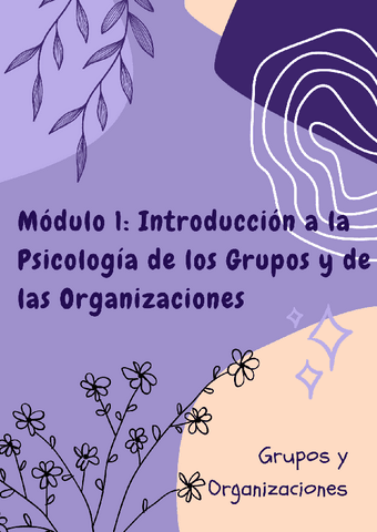 Modulo-1-Intro-a-la-Psicologia-de-los-grupos-y-de-las-Organizaciones.pdf