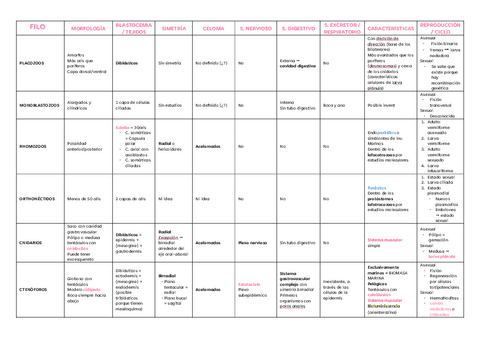 Tabla-resumen-P1.pdf
