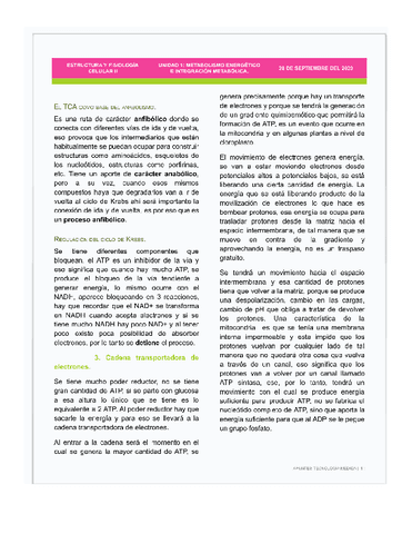 CLASE-4-RESPIRACION-CELULAR-2.docx-Documentos-de-Google.pdf