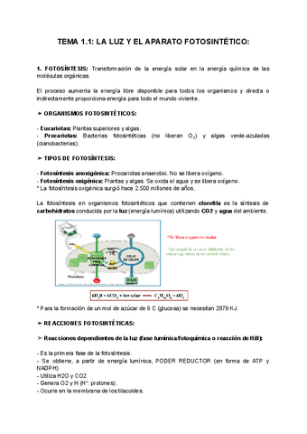 TEMA-1.1-LA-LUZ-Y-EL-APARATO-FOTOSINTETICO.pdf