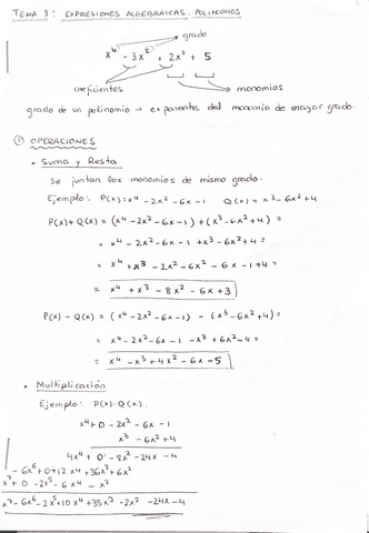 Apuntes-Polinomios-Tema-3-Bonitos-y-Limpios.pdf