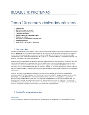 tema 10.pdf