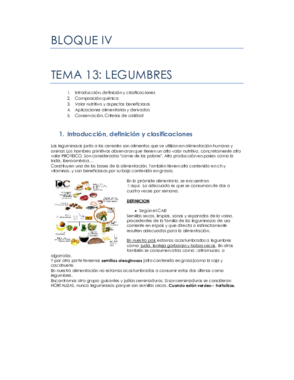 tema 13.pdf