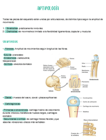 Artrologia.pdf