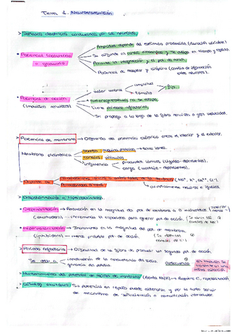 Resumen-Neuro-Temas-1-9.pdf