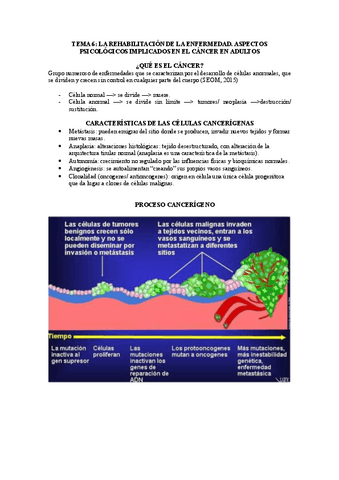 Tema-6-Psicologia-de-la-Salud.pdf