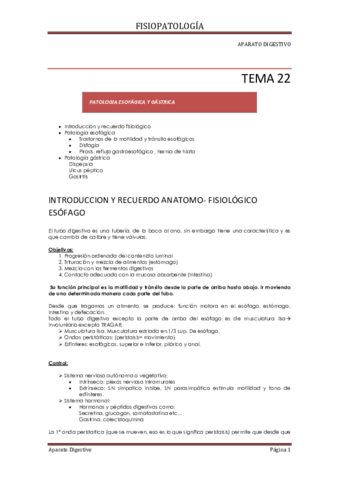 tema 22 digestivo.pdf