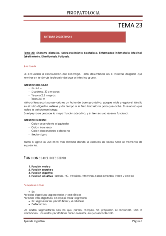tema 23 24 y 25.pdf