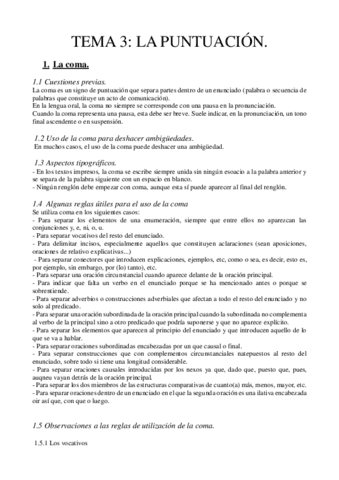 PUNTUACION-1.pdf