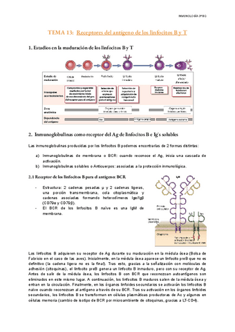 TEMA-13-Inmunologia.pdf