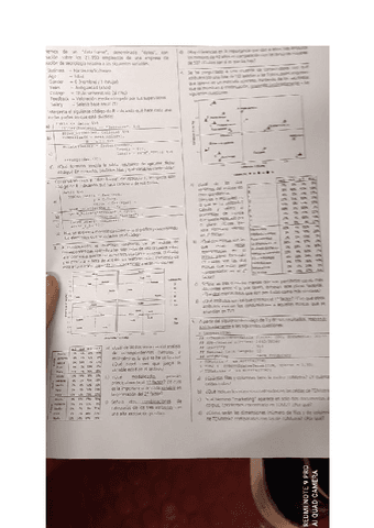 avanzada.pdf