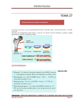 TEMA 27.pdf