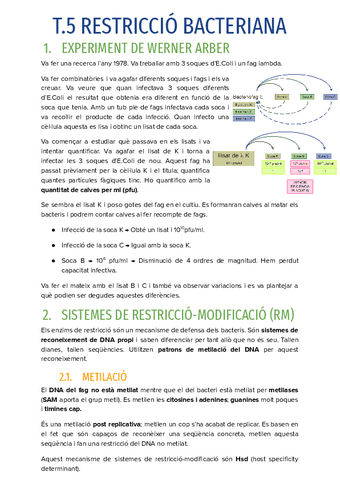 T.5-RESTRICCIO-BACTERIANA.pdf