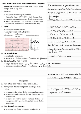 Apuntes-Bioinfo-T1.pdf