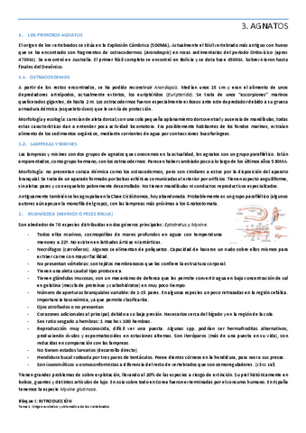 Tema-3-AGNATOS.pdf