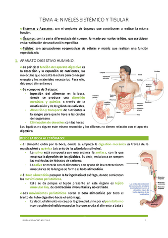 TEMA-4-NIVELES-SISTEMICOS-Y-TISULAR.pdf