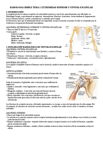 R. Simple tema 2 parte 2.pdf