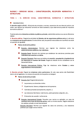 APUNTES-DERECHO-SOCIAL-PARTE-1.pdf