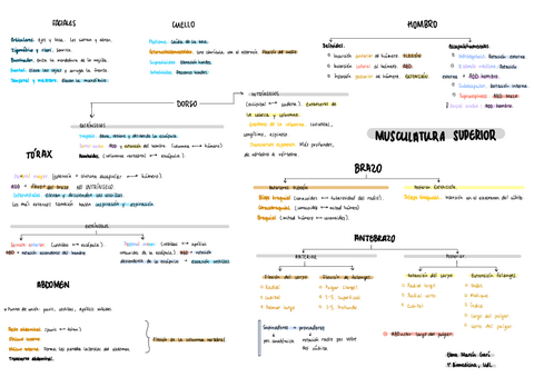 3.-Musculos.pdf