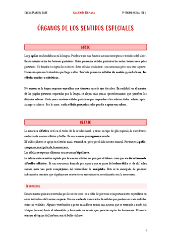 14.-Organos-de-los-sentidos.pdf