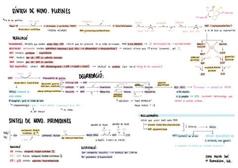 6.-Metabolisme-de-nucleotids.pdf
