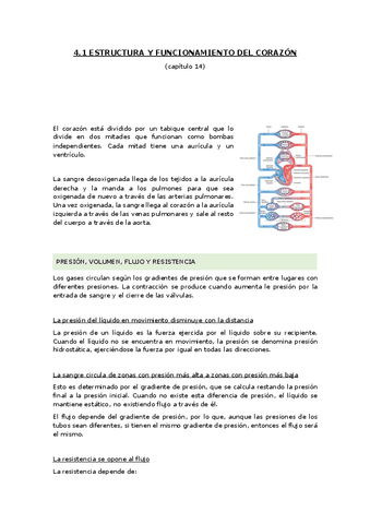 4.1-estructura-y-funcionamiento-del-corazon.pdf
