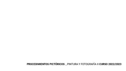 005-PINTURA-Y-FOTOGRAFIA-II.pdf
