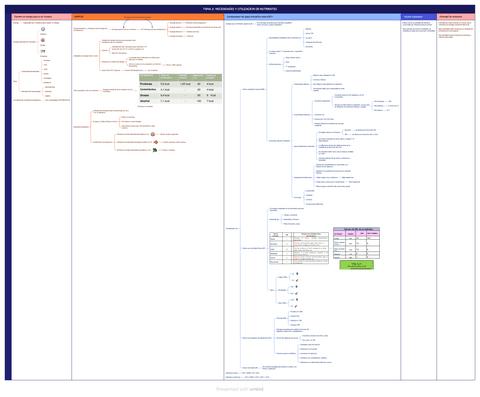 TEMA-2-NECESIDADES-Y-UTILIZACION-DE-NUTRIENTES.pdf