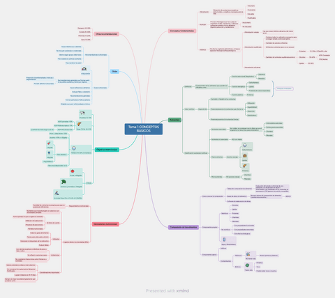 Tema-1-CONCEPTOS-BASICOS.pdf