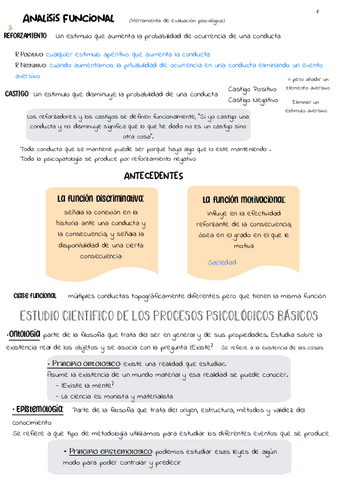 esquemas-examen-pensamiento-y-lenguaje.pdf