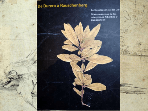 Clase-Presentacion-DE-dURERO-A-rAUSCHEMBERG1-copia.pdf