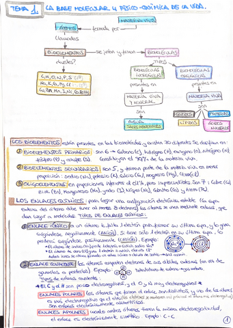 25-Biologia.-Resumen-todo-lo-necesarioTema-1.pdf