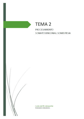 TEMA-2.-Psico-fisiologica.pdf