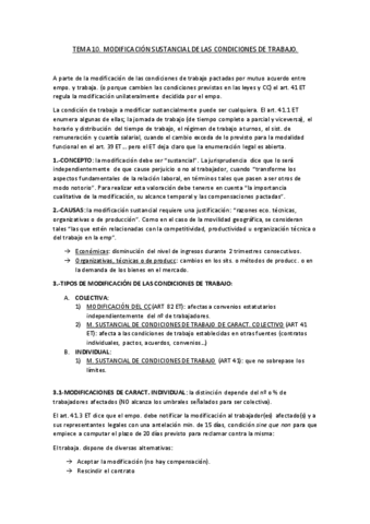 TEMA-10.pdf