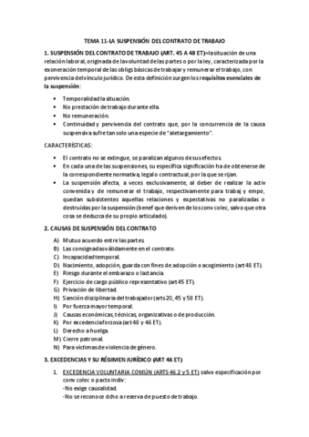 TEMA-11.pdf