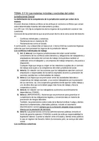 TEMAS-5-y-6.pdf