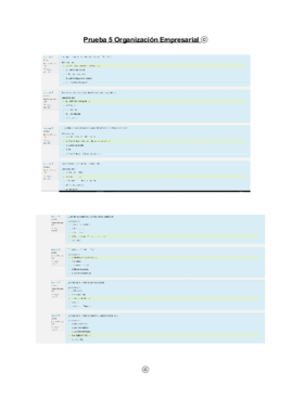 Prueba 5 Organización Empresarial.pdf