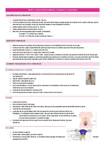 Tema 5 Gine Pdf