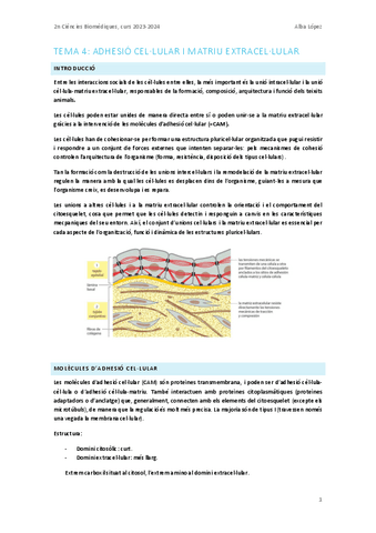 Tema-4.-Adhesio-cellular-i-matriu-extracellular.pdf