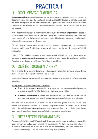 PRACTICA-1.pdf