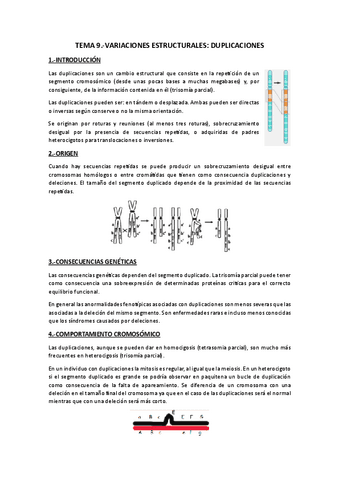 Tema 9.-Duplicaciones.pdf