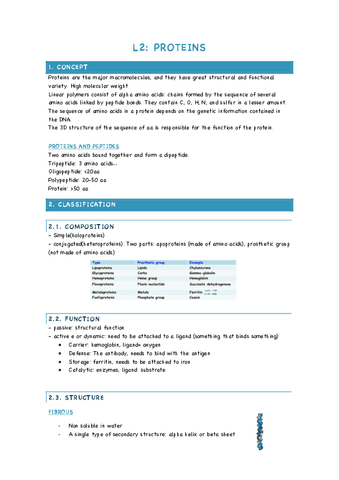 L2-PROTEINS.pdf