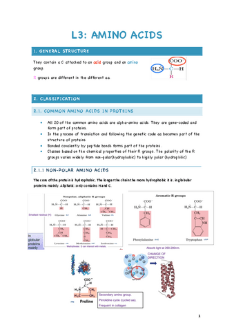 L3-AMINO-ACIDS.pdf