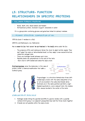L5-STRCUTURE-FUNCTION-RELATINONSHIPS-IN-PROTEINS.pdf