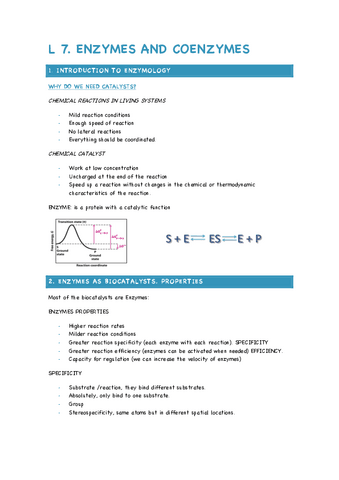L7-ENZYMES.pdf