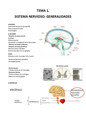 Tema-1.pdf