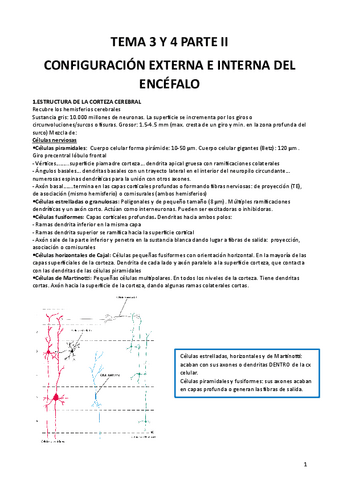 Tema-4.pdf