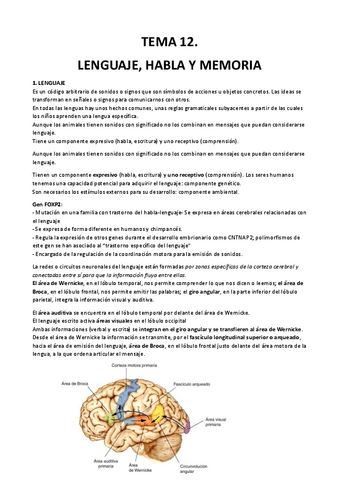 Tema-12.pdf