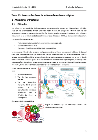 Tema 13 patología.pdf